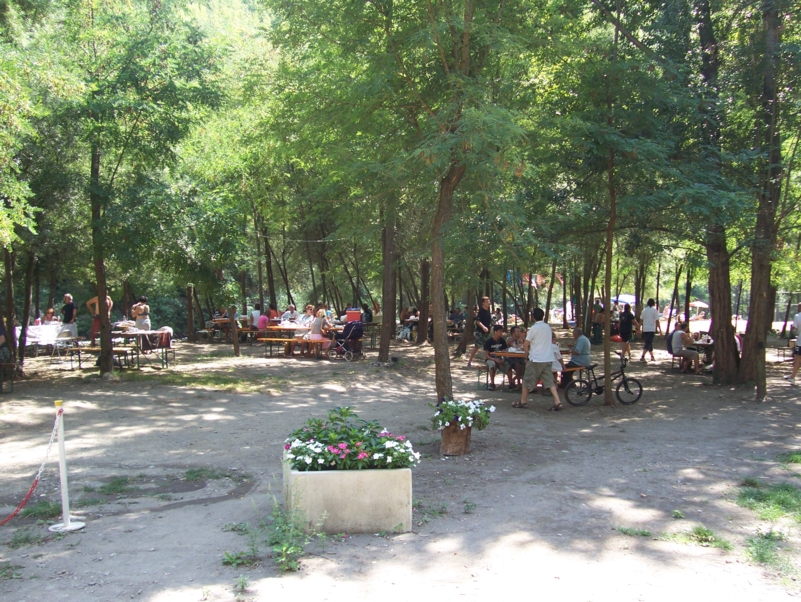  Image name: Estate015.jpg 
 width: 801 pixel 
 height: 602 pixel 
 Size: 529259 bytes 
 Click to enlarge 